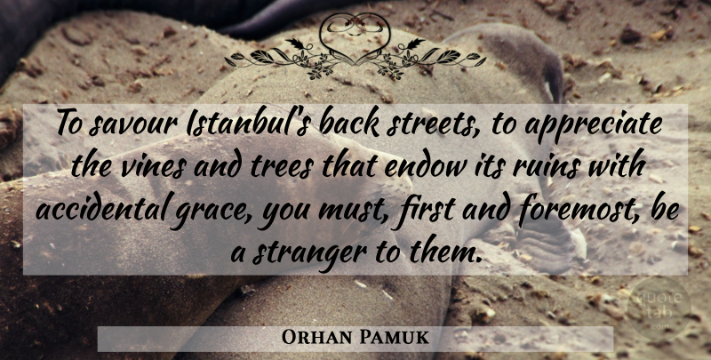 Orhan Pamuk Quote About Istanbul, Appreciate, Tree: To Savour Istanbuls Back Streets...