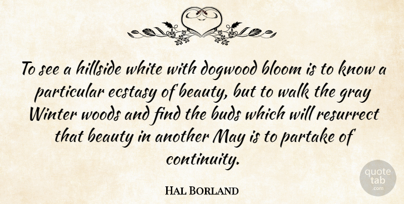 Hal Borland Quote About Winter, White, May: To See A Hillside White...