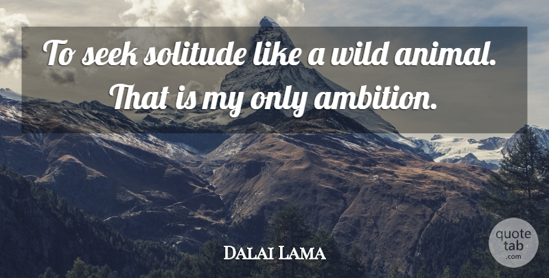 Dalai Lama Quote About Ambition, Animal, Solitude: To Seek Solitude Like A...