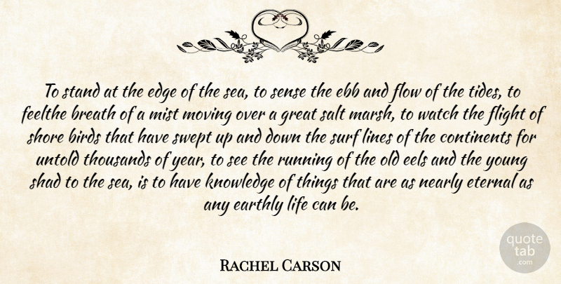 Rachel Carson Quote About Birds, Breath, Continents, Earthly, Ebb: To Stand At The Edge...
