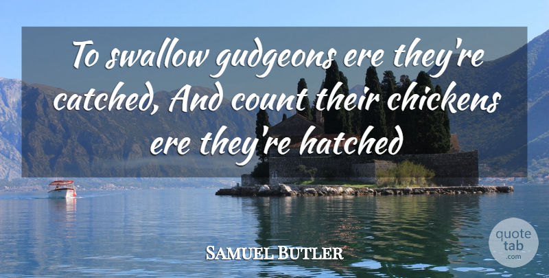 Samuel Butler Quote About Chickens, Count, Hatched, Swallow: To Swallow Gudgeons Ere Theyre...