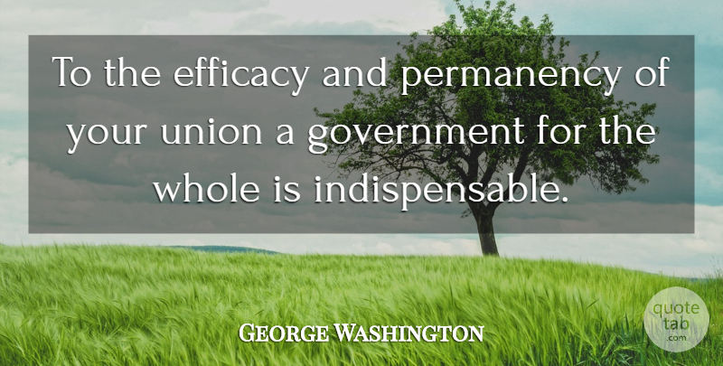 George Washington Quote About Government, Unions, Efficacy: To The Efficacy And Permanency...
