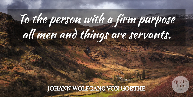 Johann Wolfgang von Goethe Quote About Men, Literature, Purpose: To The Person With A...