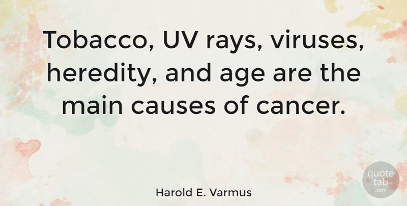 Harold E. Varmus Quote About Cancer, Age, Viruses: Tobacco Uv Rays Viruses Heredity...