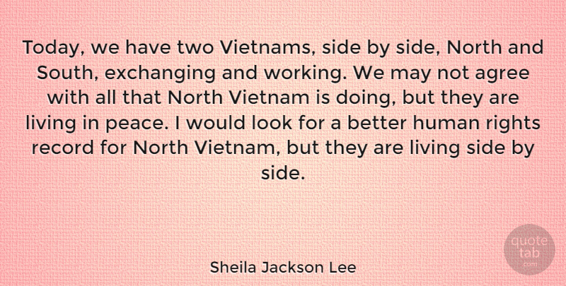 Sheila Jackson Lee Quote About Two, Rights, Looks: Today We Have Two Vietnams...