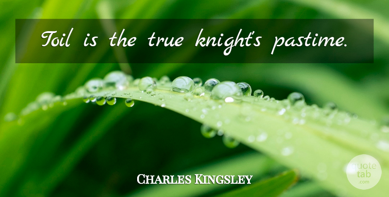Charles Kingsley Quote About Knights, Toil, Pastime: Toil Is The True Knights...