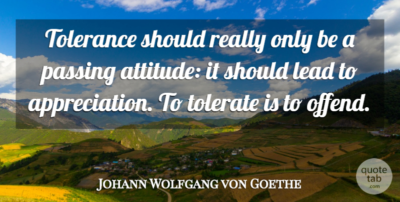 Johann Wolfgang von Goethe Quote About Appreciation, Attitude, Tolerance: Tolerance Should Really Only Be...