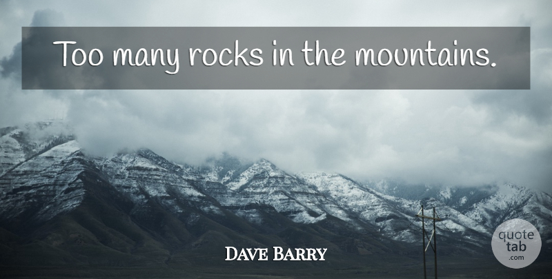 Dave Barry Quote About God, Rocks, Stupidity: Too Many Rocks In The...