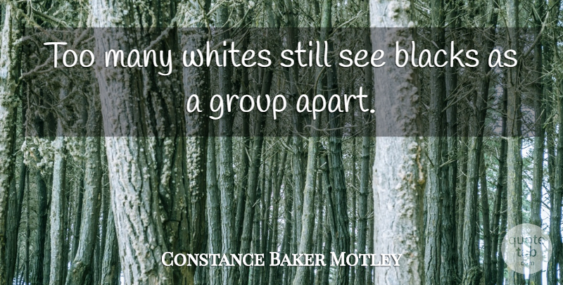Constance Baker Motley Quote About Groups, Stills: Too Many Whites Still See...