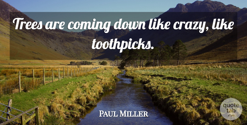Paul Miller Quote About Coming, Trees: Trees Are Coming Down Like...