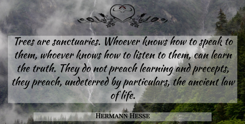Hermann Hesse Quote About Life, Law, Tree: Trees Are Sanctuaries Whoever Knows...