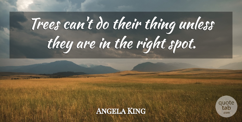 Angela King Quote About Trees, Unless: Trees Cant Do Their Thing...