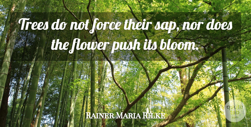Rainer Maria Rilke Quote About Flower, Tree, Doe: Trees Do Not Force Their...