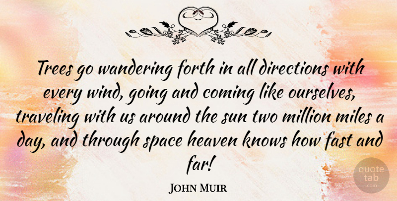 John Muir Quote About Wind, Two, Space: Trees Go Wandering Forth In...