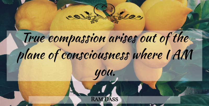 Ram Dass Quote About Compassion, Consciousness, Planes: True Compassion Arises Out Of...