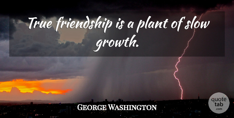 George Washington Quote About Friendship, True Friend, Real: True Friendship Is A Plant...