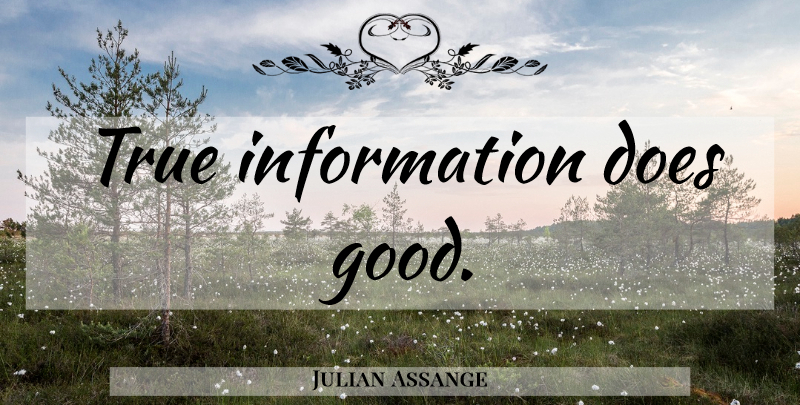 Julian Assange Quote About Doe, Information: True Information Does Good...