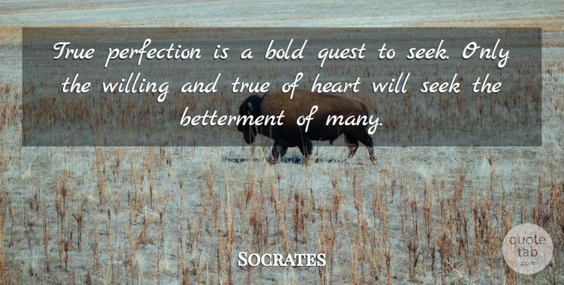 Socrates Quote About Heart, Perfection, Quests: True Perfection Is A Bold...