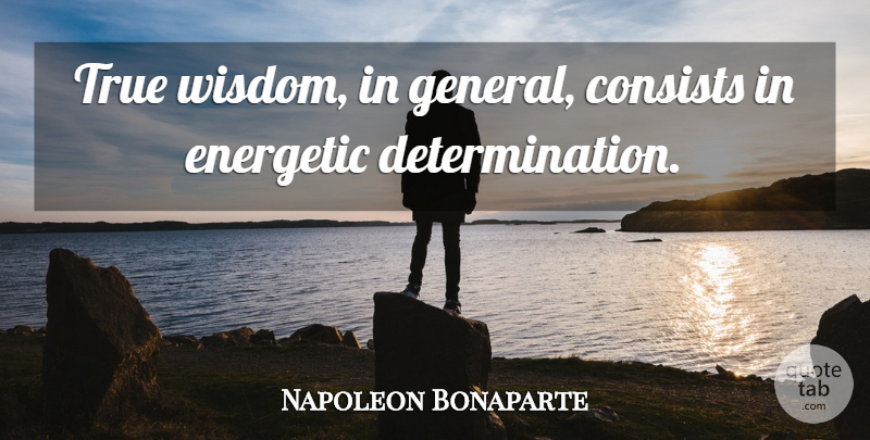 Napoleon Bonaparte Quote About Determination, Energetic, True Wisdom: True Wisdom In General Consists...