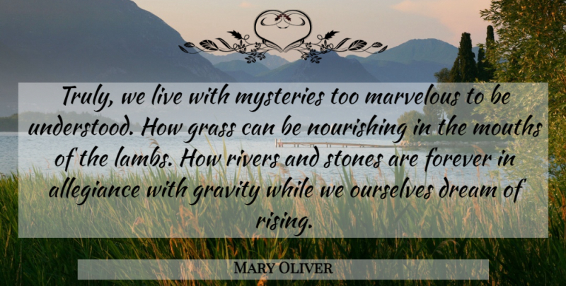 Mary Oliver Quote About Dream, Rivers, Forever: Truly We Live With Mysteries...