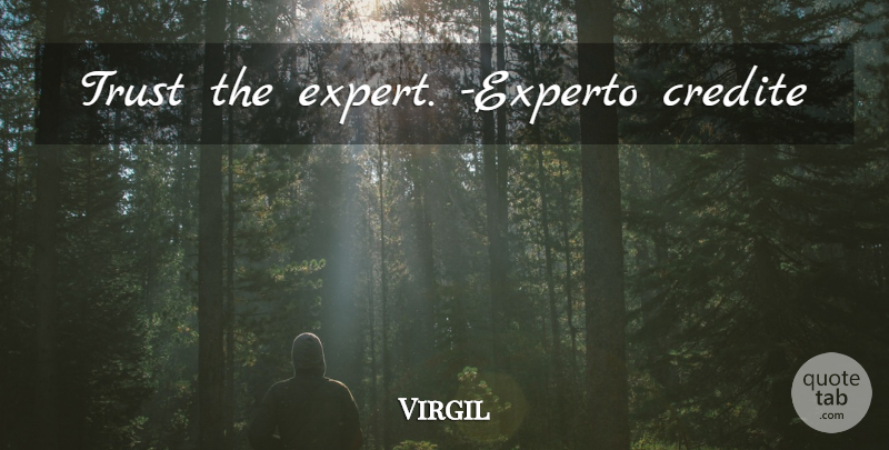 Virgil Quote About Trust, Experts: Trust The Expert Experto Credite...
