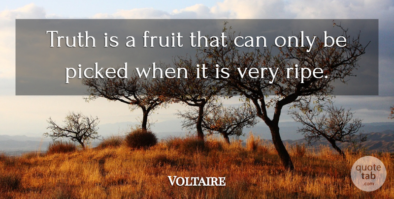 Voltaire Quote About Truth, Fruit, Ripe: Truth Is A Fruit That...