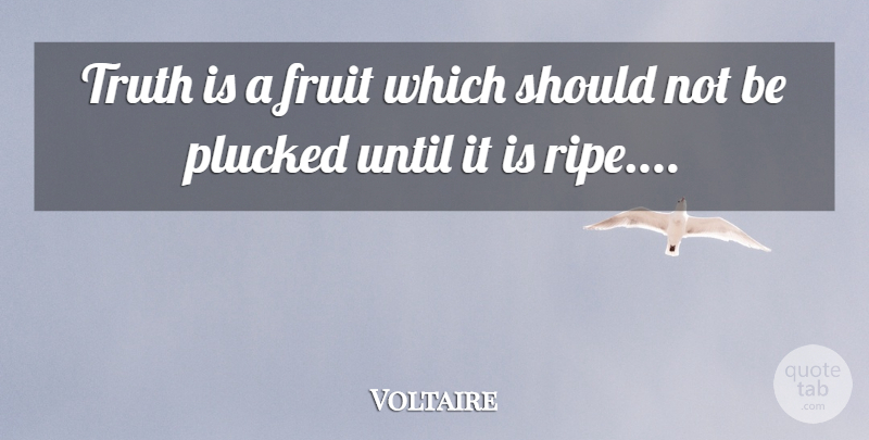 Voltaire Quote About Fruit, Truth Is, Should: Truth Is A Fruit Which...