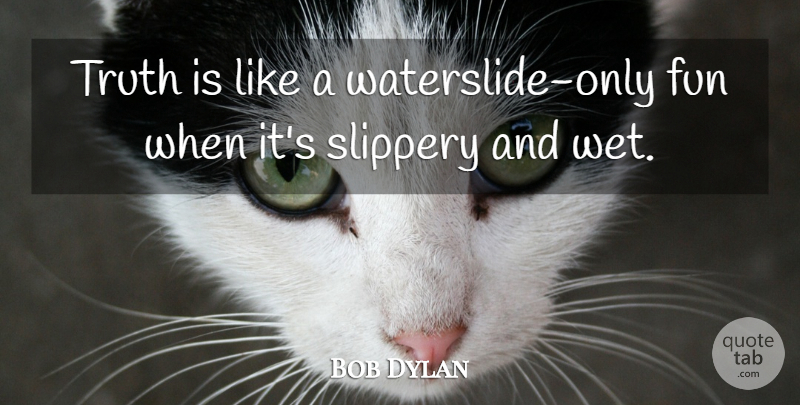Bob Dylan Quote About Fun, Truth Is, Wet: Truth Is Like A Waterslide...