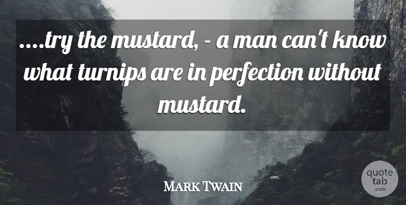 Mark Twain Quote About Men, Perfection, Trying: Try The Mustard A Man...