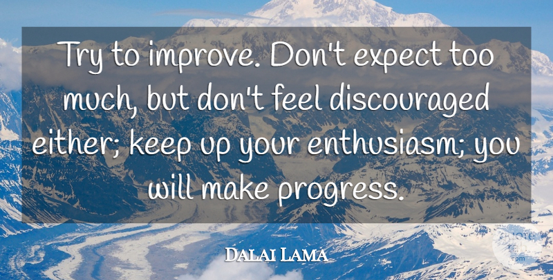 Dalai Lama Quote About Trying, Progress, Enthusiasm: Try To Improve Dont Expect...