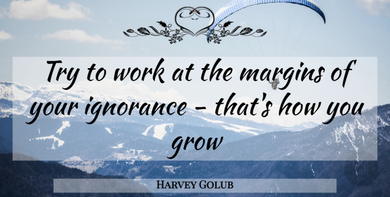 Harvey Golub Quote About Grow, Ignorance, Margins, Work: Try To Work At The...