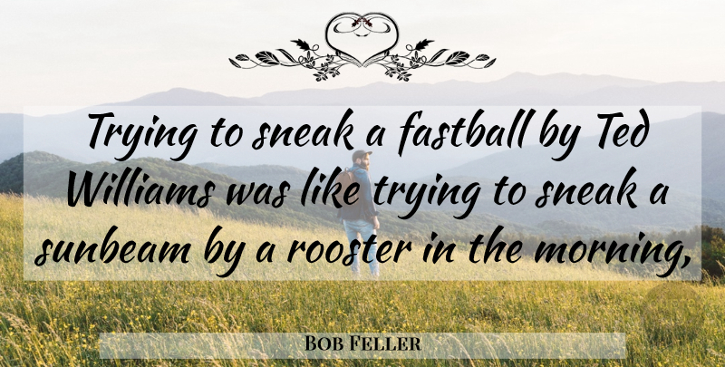 Bob Feller Quote About Morning, Trying, Roosters: Trying To Sneak A Fastball...