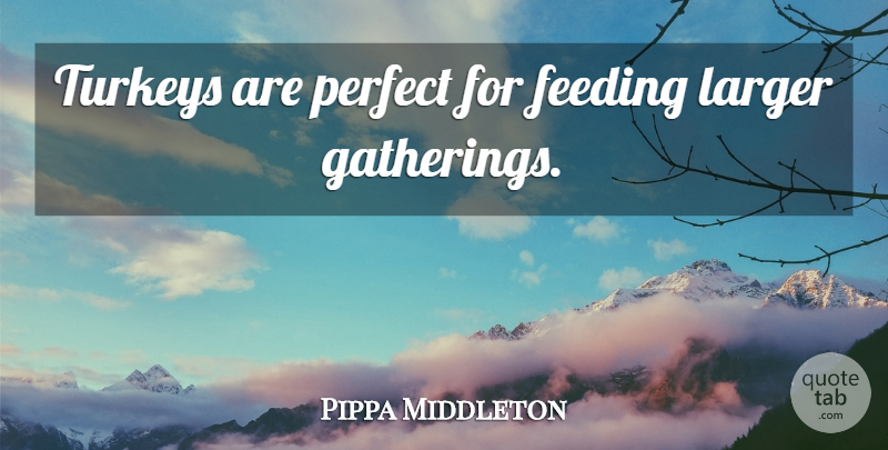 Pippa Middleton Quote About Turkeys, Perfect, Gathering: Turkeys Are Perfect For Feeding...
