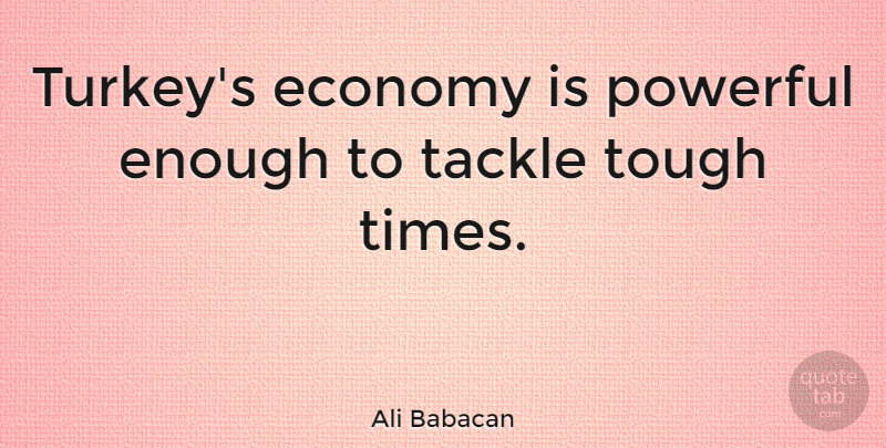 Ali Babacan Quote About Powerful, Turkeys, Tough Times: Turkeys Economy Is Powerful Enough...