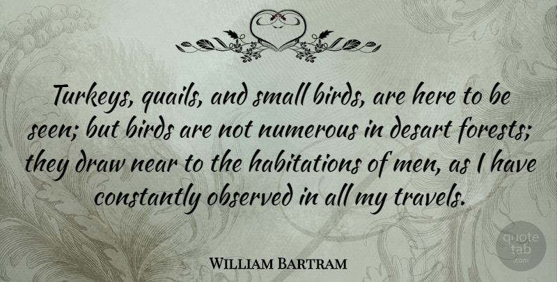 William Bartram Quote About Men, Turkeys, Bird: Turkeys Quails And Small Birds...