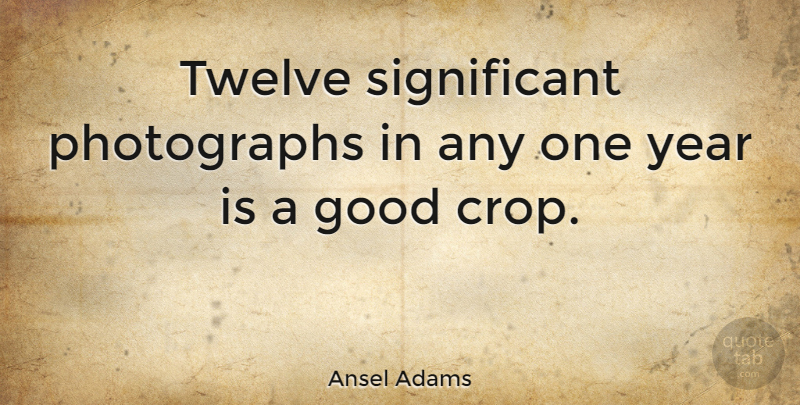 Ansel Adams Quote About Photography, Years, Twelve: Twelve Significant Photographs In Any...