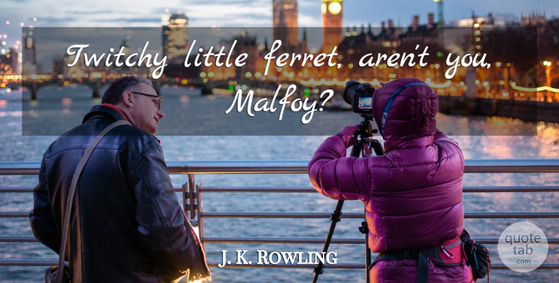 J. K. Rowling Quote About Littles, Ferrets, Draco Malfoy: Twitchy Little Ferret Arent You...