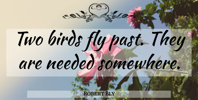 Robert Bly Quote About Past, Two, Bird: Two Birds Fly Past They...