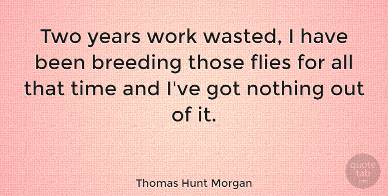 Thomas Hunt Morgan Quote About Two, Years, Breeding: Two Years Work Wasted I...
