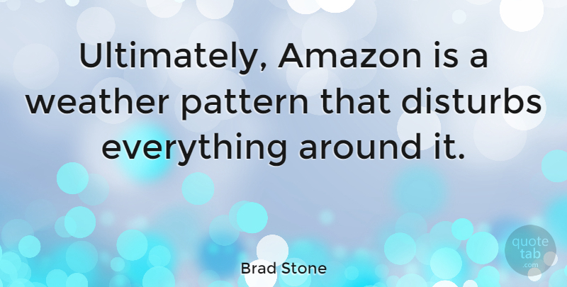 Brad Stone Quote About Amazon, Pattern, Weather: Ultimately Amazon Is A Weather...