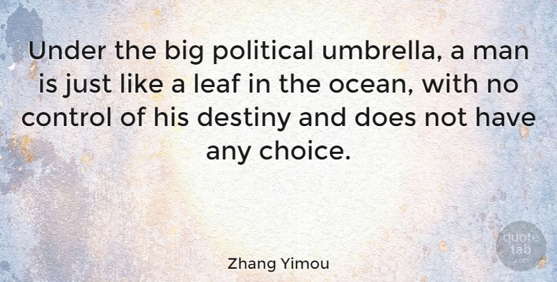 Zhang Yimou Quote About Ocean, Destiny, Men: Under The Big Political Umbrella...