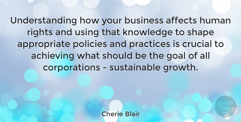 Cherie Blair Quote About Achieving, Affects, Business, Crucial, Goal: Understanding How Your Business Affects...