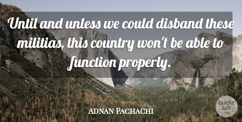 Adnan Pachachi Quote About Country, Able, Function: Until And Unless We Could...