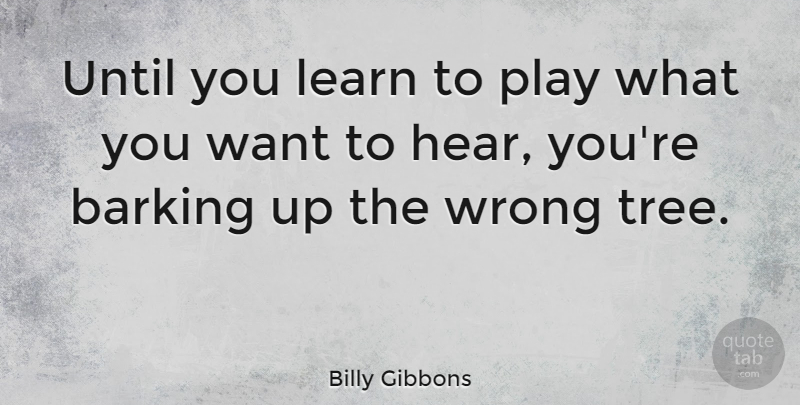 Billy Gibbons Quote About Play, Tree, Want: Until You Learn To Play...