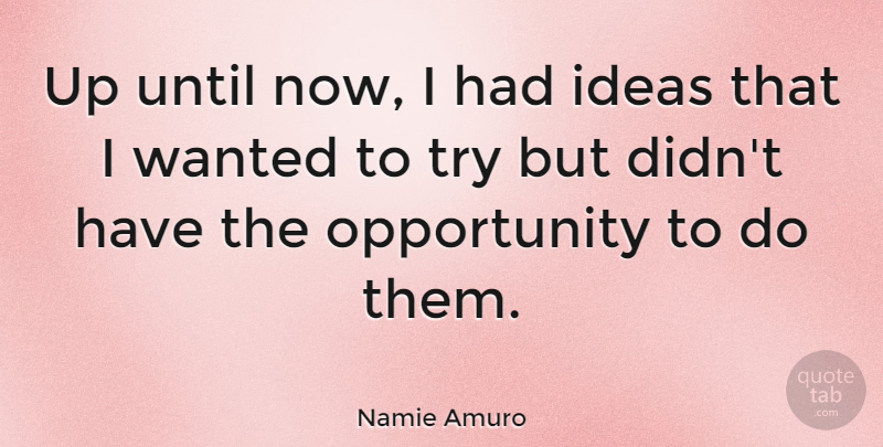 Namie Amuro Quote About Opportunity, Ideas, Trying: Up Until Now I Had...