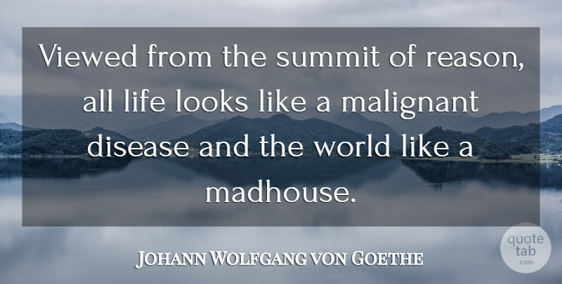 Johann Wolfgang von Goethe Quote About Life, World, Disease: Viewed From The Summit Of...