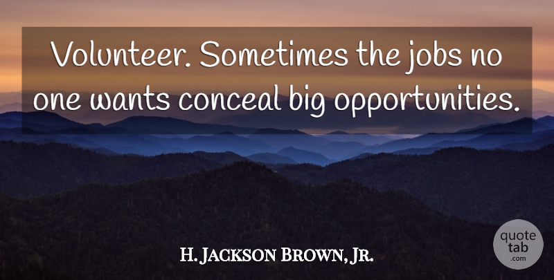 H. Jackson Brown, Jr. Quote About Jobs, Opportunity, Volunteer: Volunteer Sometimes The Jobs No...