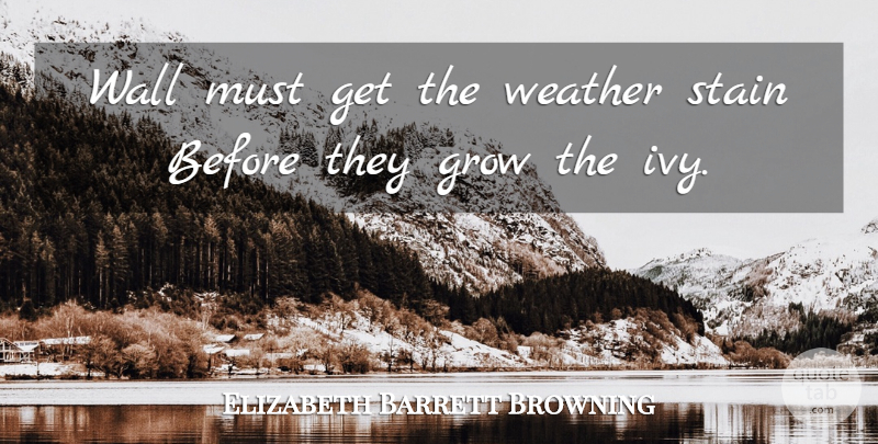 Elizabeth Barrett Browning Quote About Wall, Ivy, Weather: Wall Must Get The Weather...