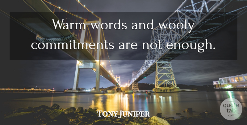 Tony Juniper Quote About Commitment, Warm, Words: Warm Words And Wooly Commitments...