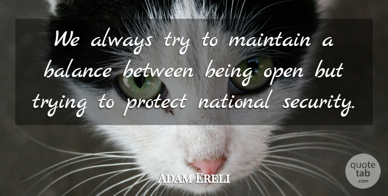 Adam Ereli Quote About Balance, Maintain, National, Open, Protect: We Always Try To Maintain...